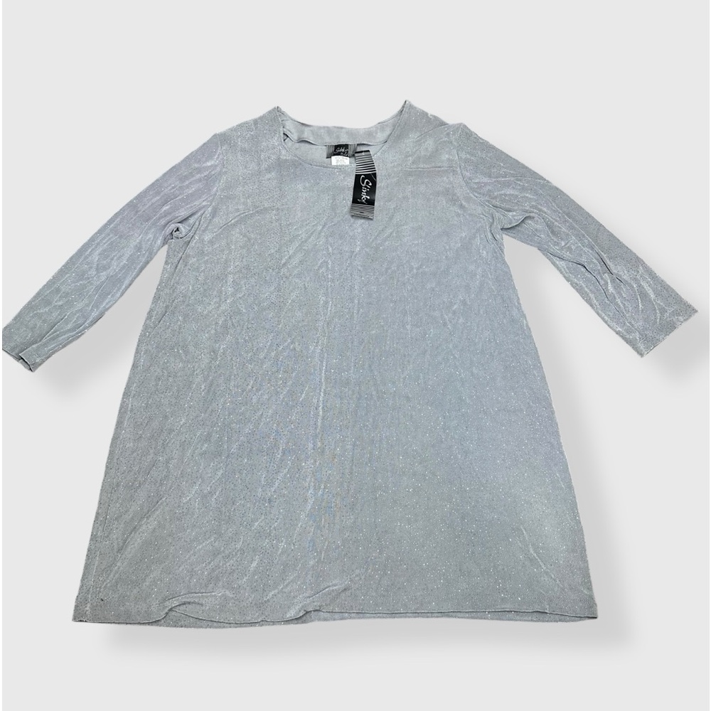Slinky Brand sliver sparkly dress